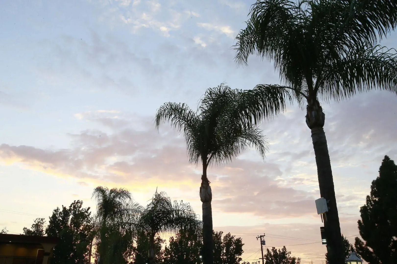 Sky Palm Motel