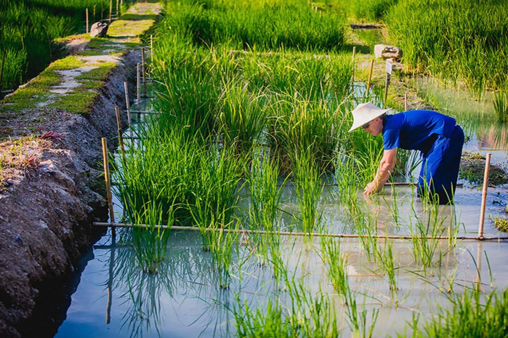 Farmer's Boutique Resort