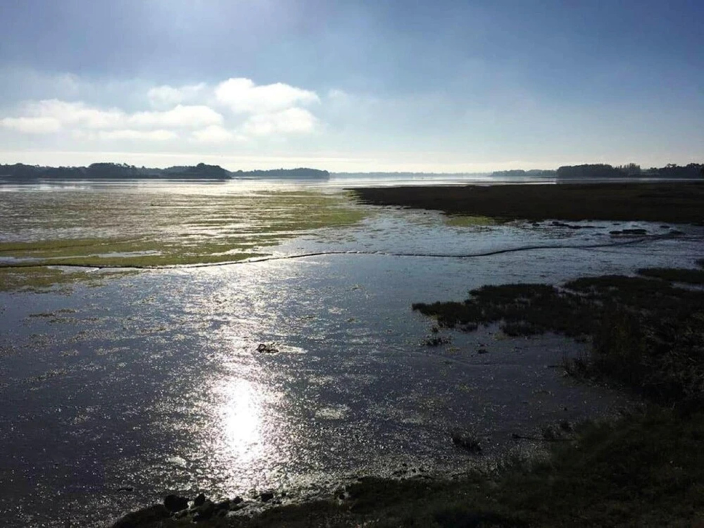 Villa With 4 Bedrooms in Pont-l'abbé, With Wonderful sea View, Private Pool, Enclosed Garden - 3 km From the Beach