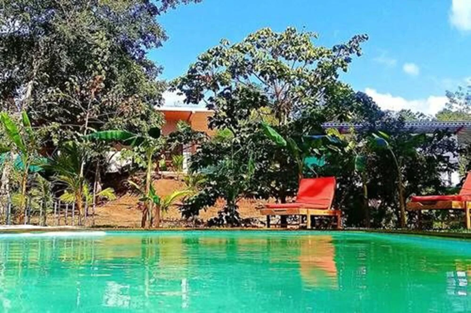 Arbol de vida villas