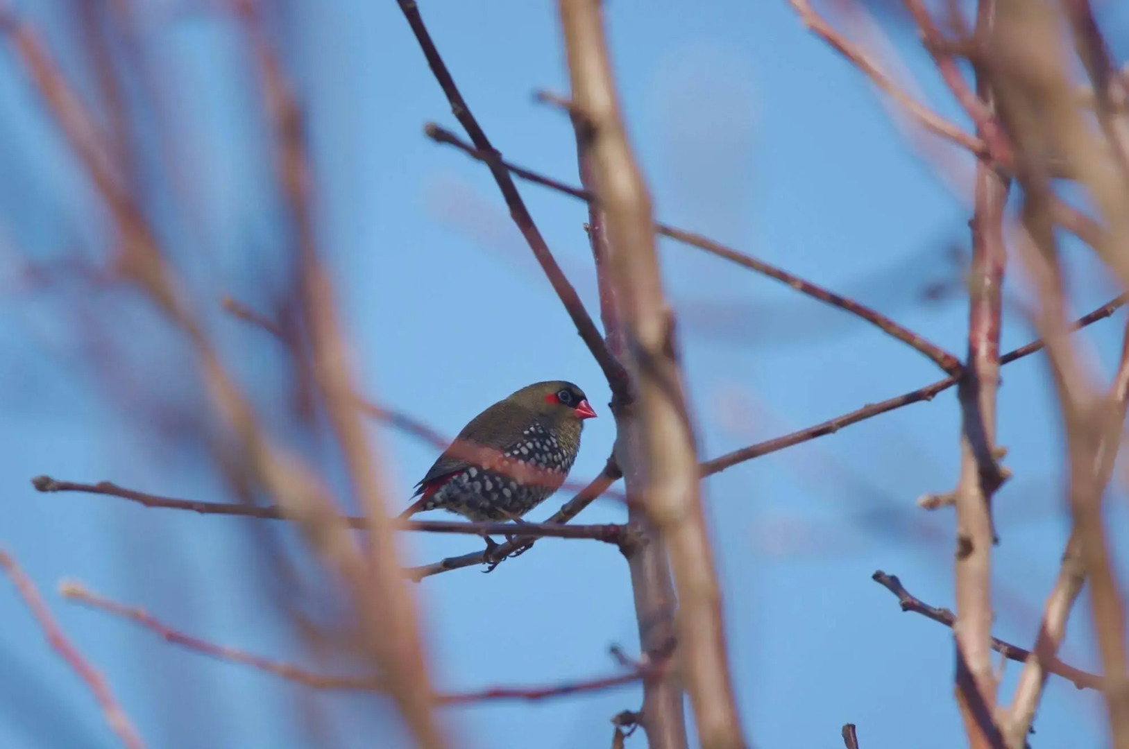 Yelverton Brook Conservation Sanctuary