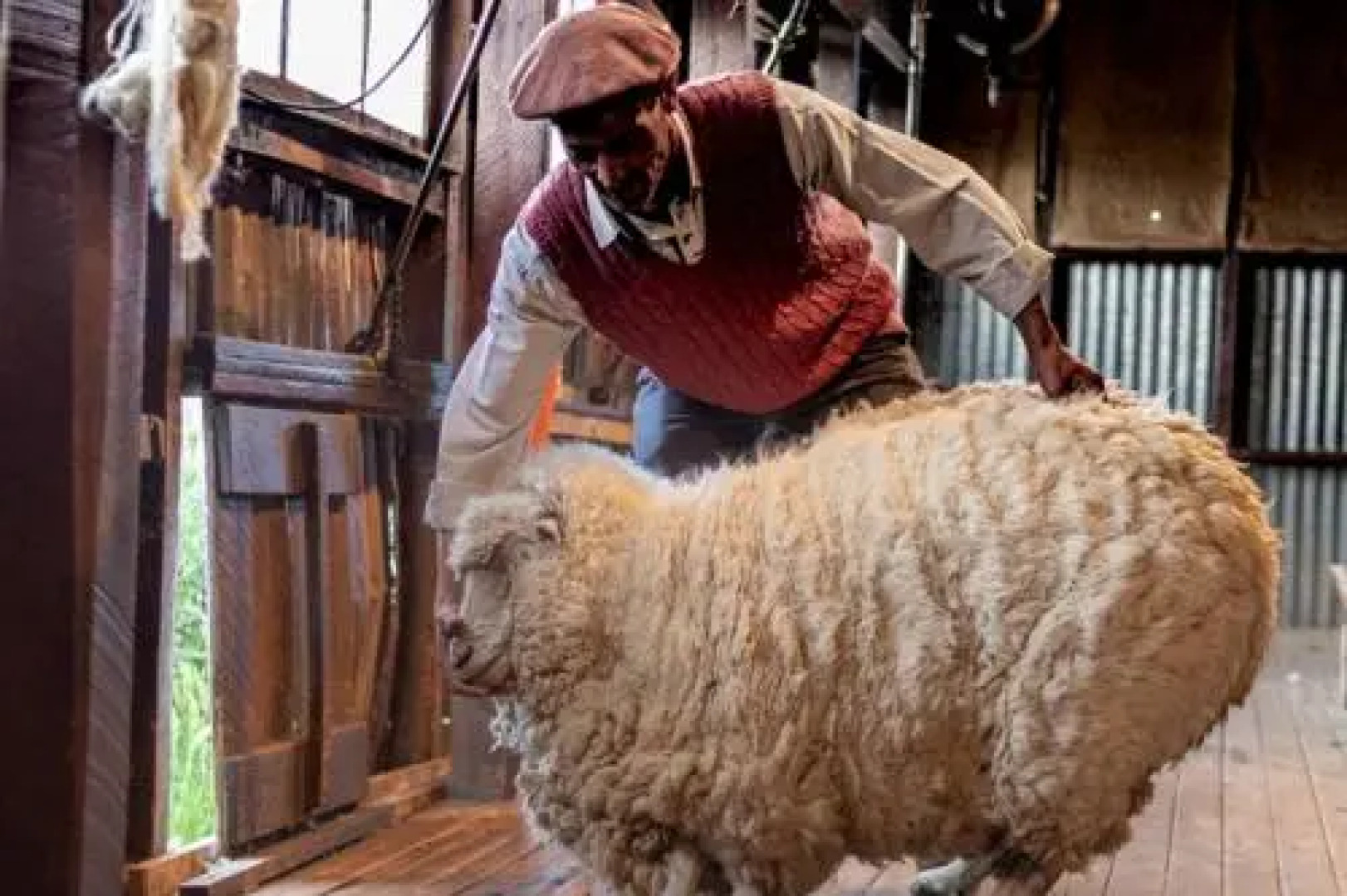 Hosteria El Galpon Del Glaciar