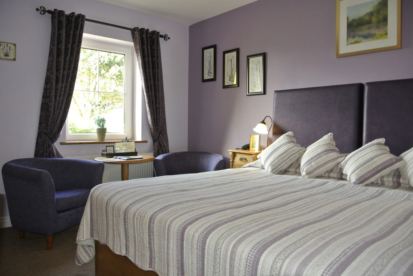 Drumcreehy Country House B&B
