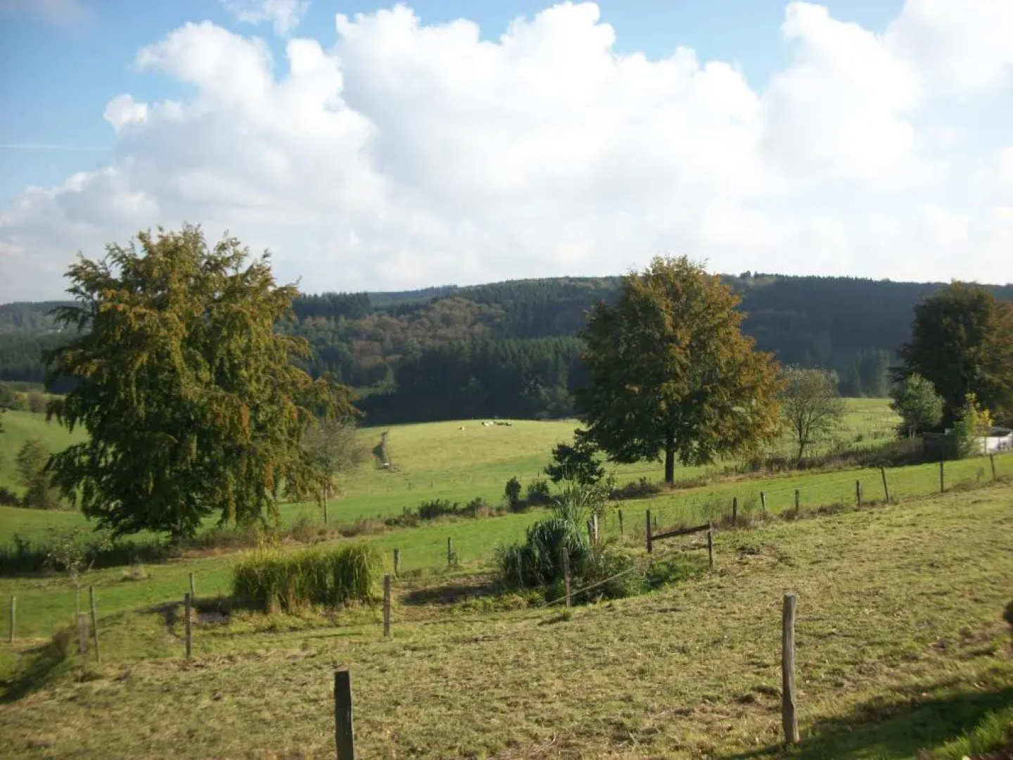 FILD - Holiday Apartment