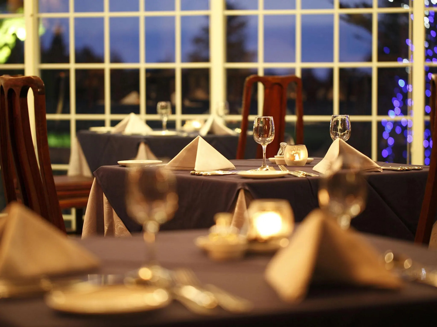 Wellness Forest NASU