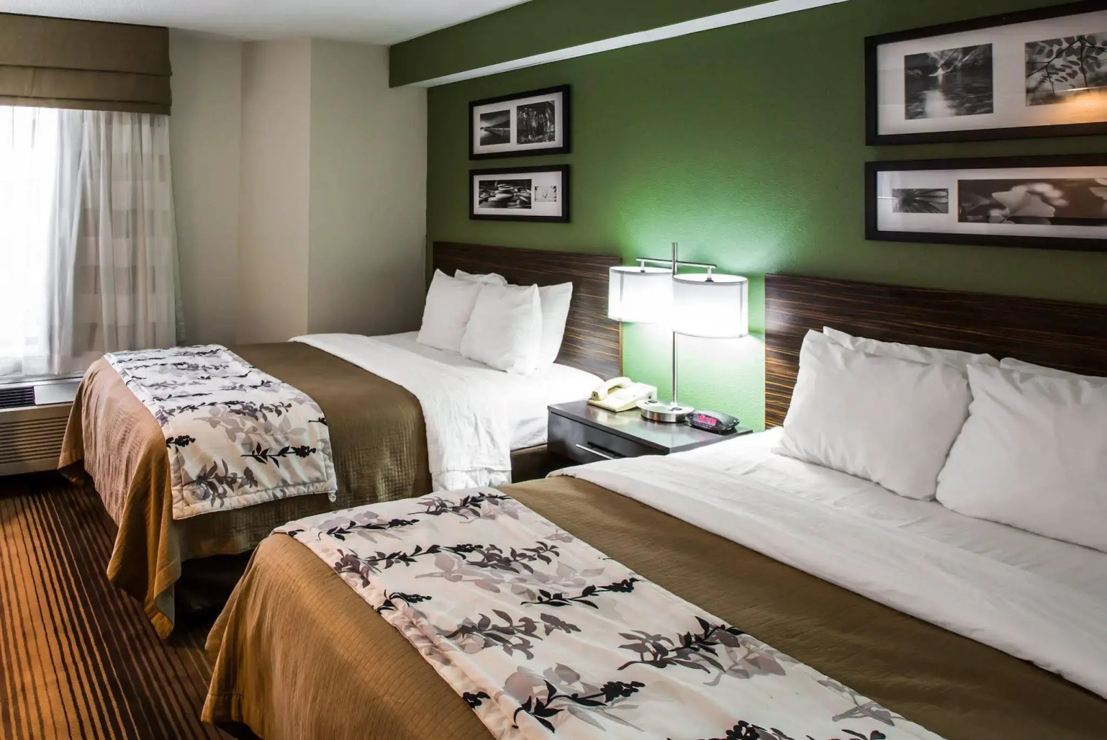 Sleep Inn & Suites Kingsport TriCities Airport