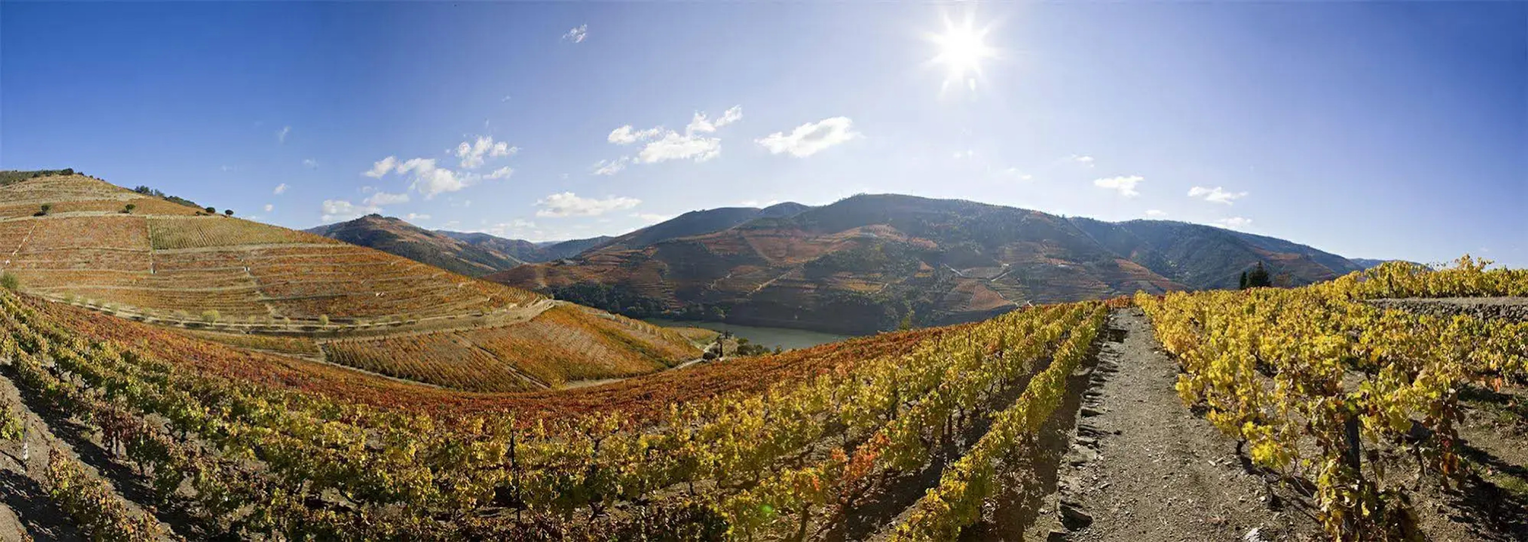 Quinta Nova Winery House - Relais & Châteaux