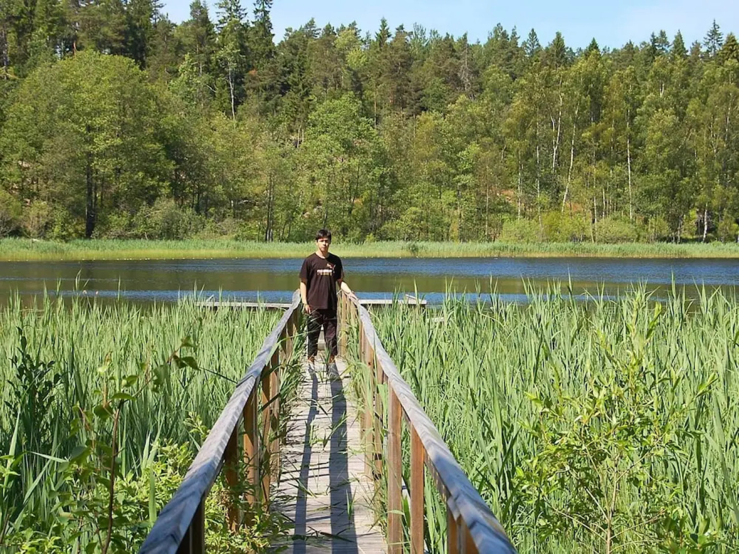 Holiday Home in Mellerud