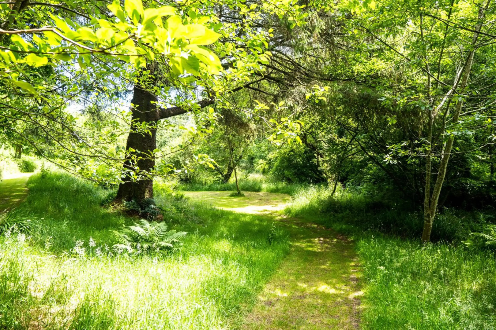 Ta Mill Holiday Cottages & Lodges - Forge Cottage