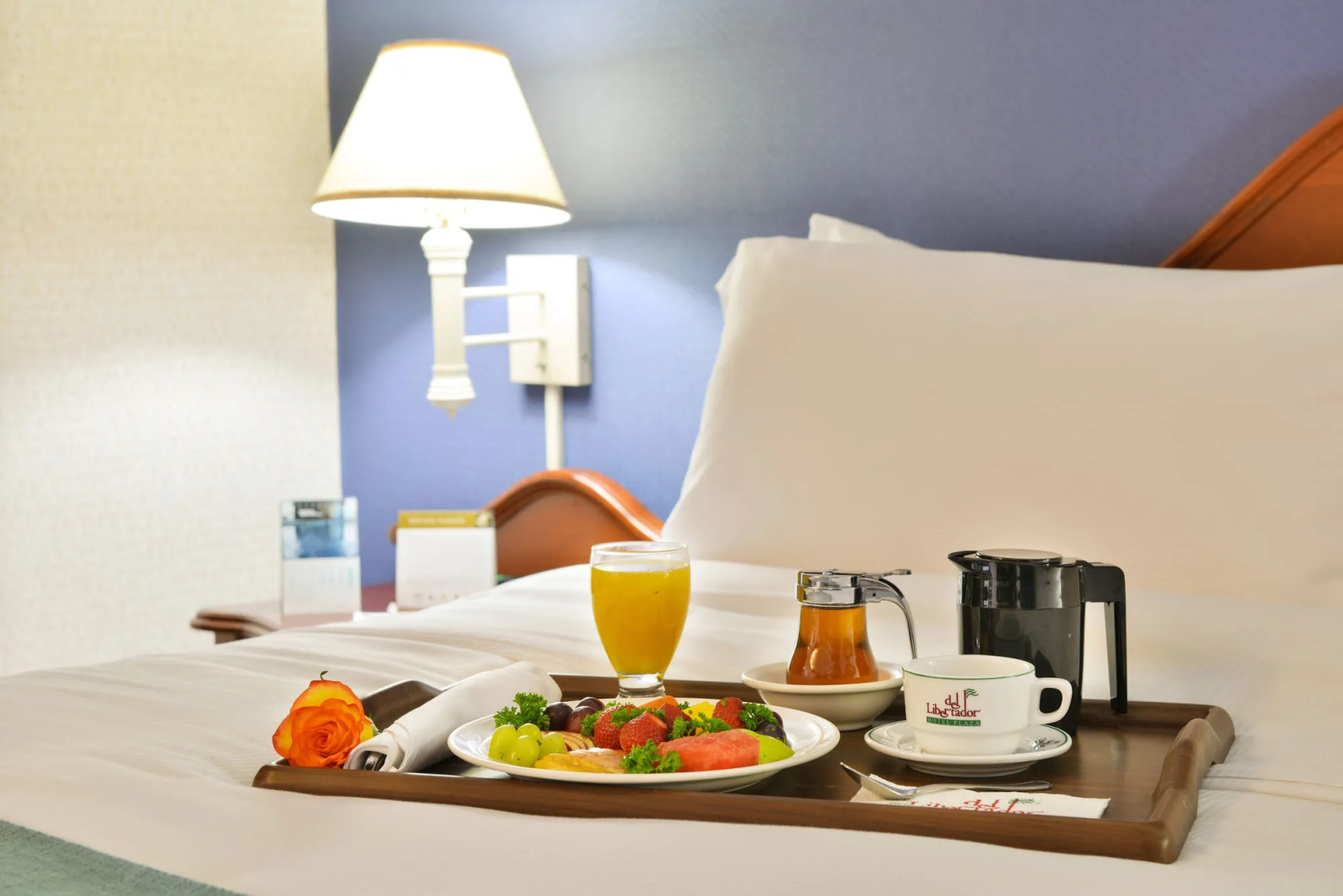 Hotel Plaza Del Libertador