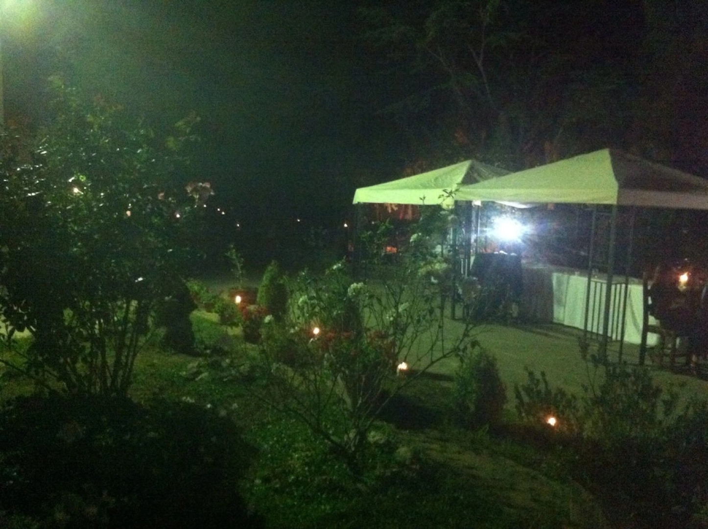 Ai monti del Gennargentu