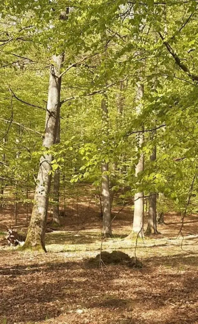 Time out Modern Retreat