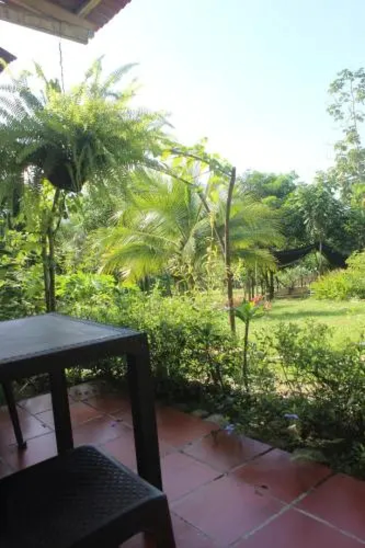 Jaguar Azul Palomino