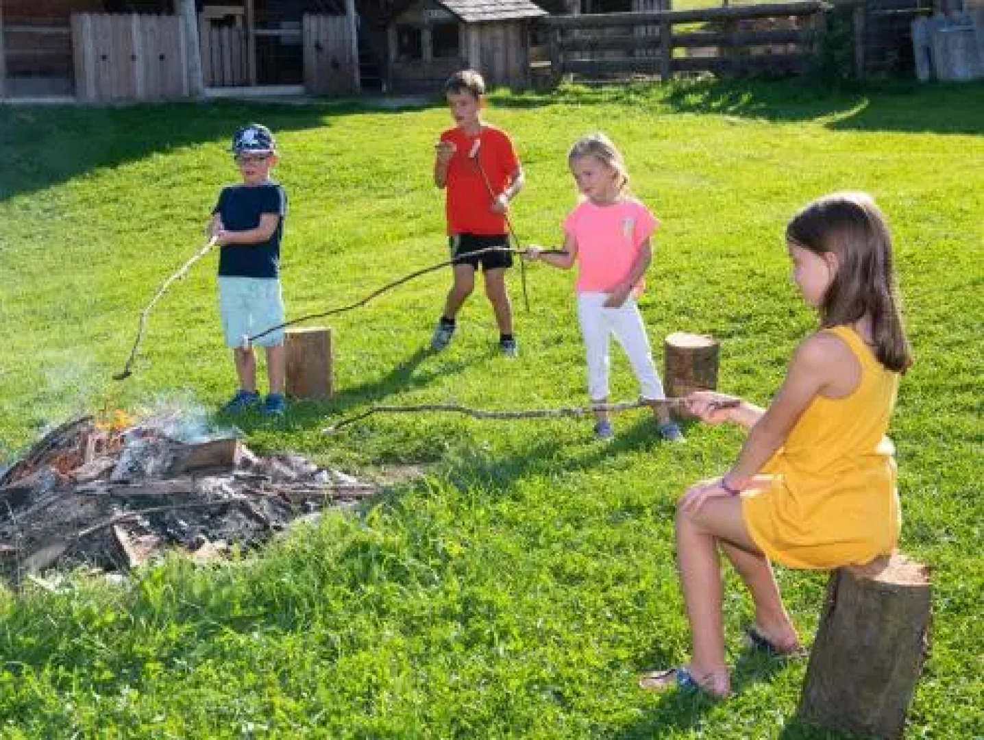 Apartment Viola Altenmarkt