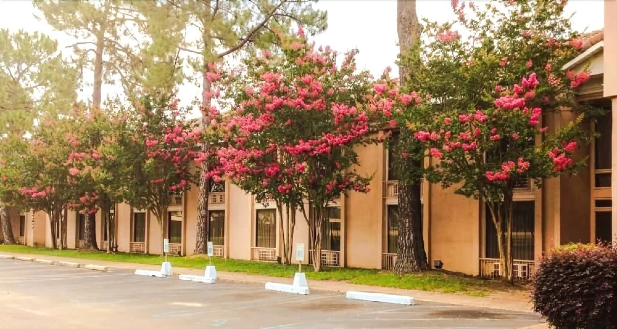 Regency Hotel & Conference Center