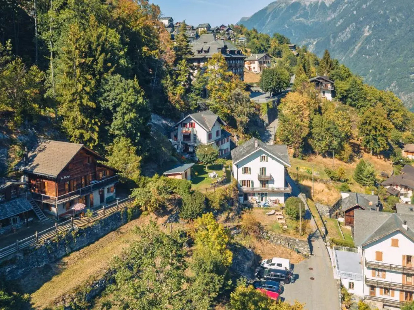 Chalet les Mésanges - Salvan