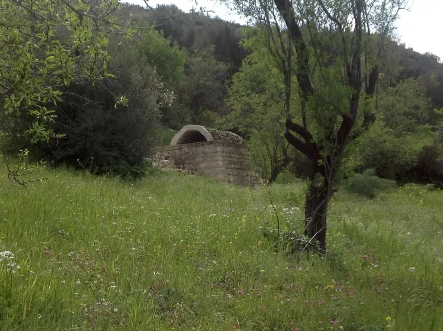 Vavla Rustic Retreat