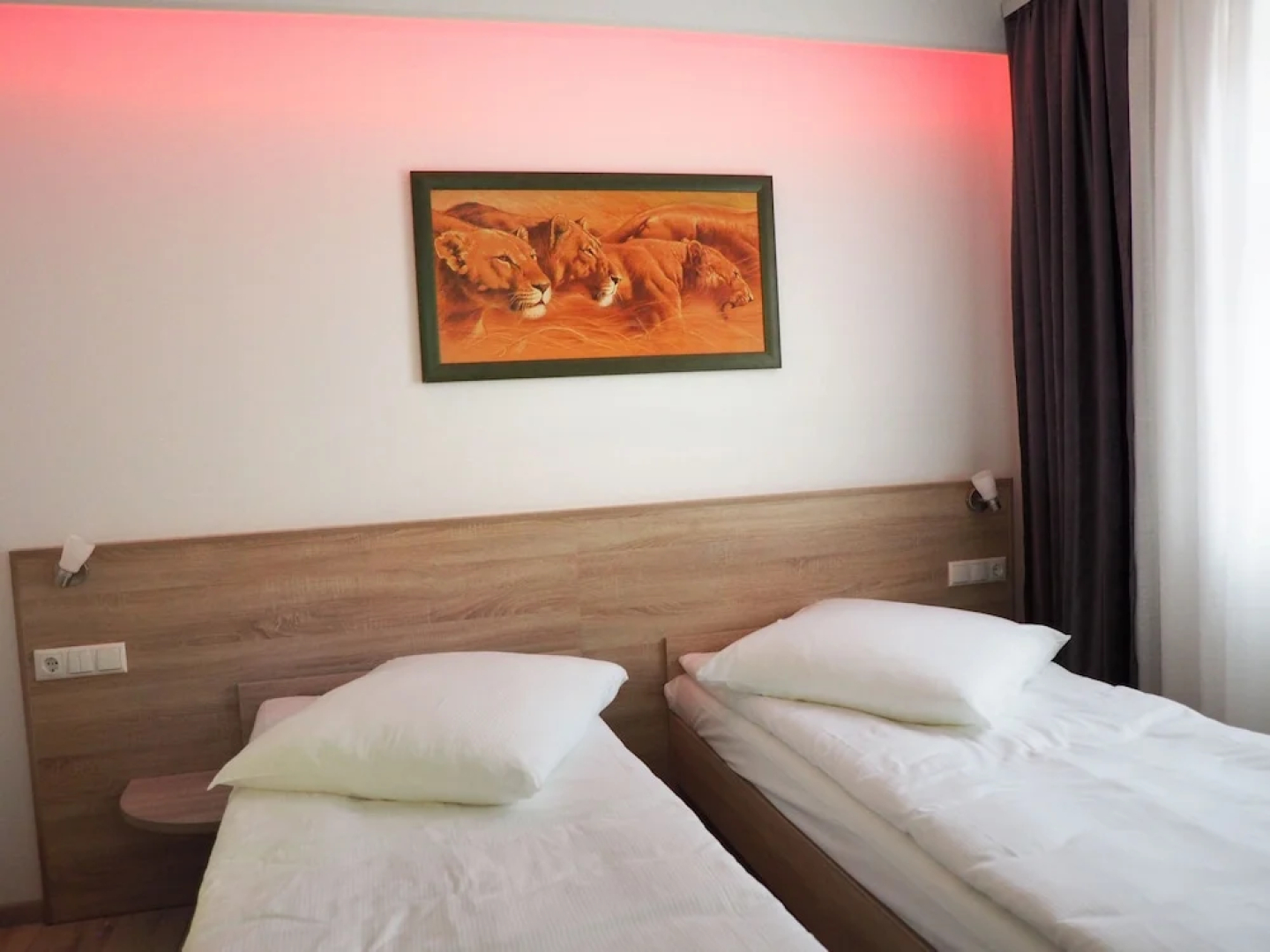 Pension Villa Colosseo