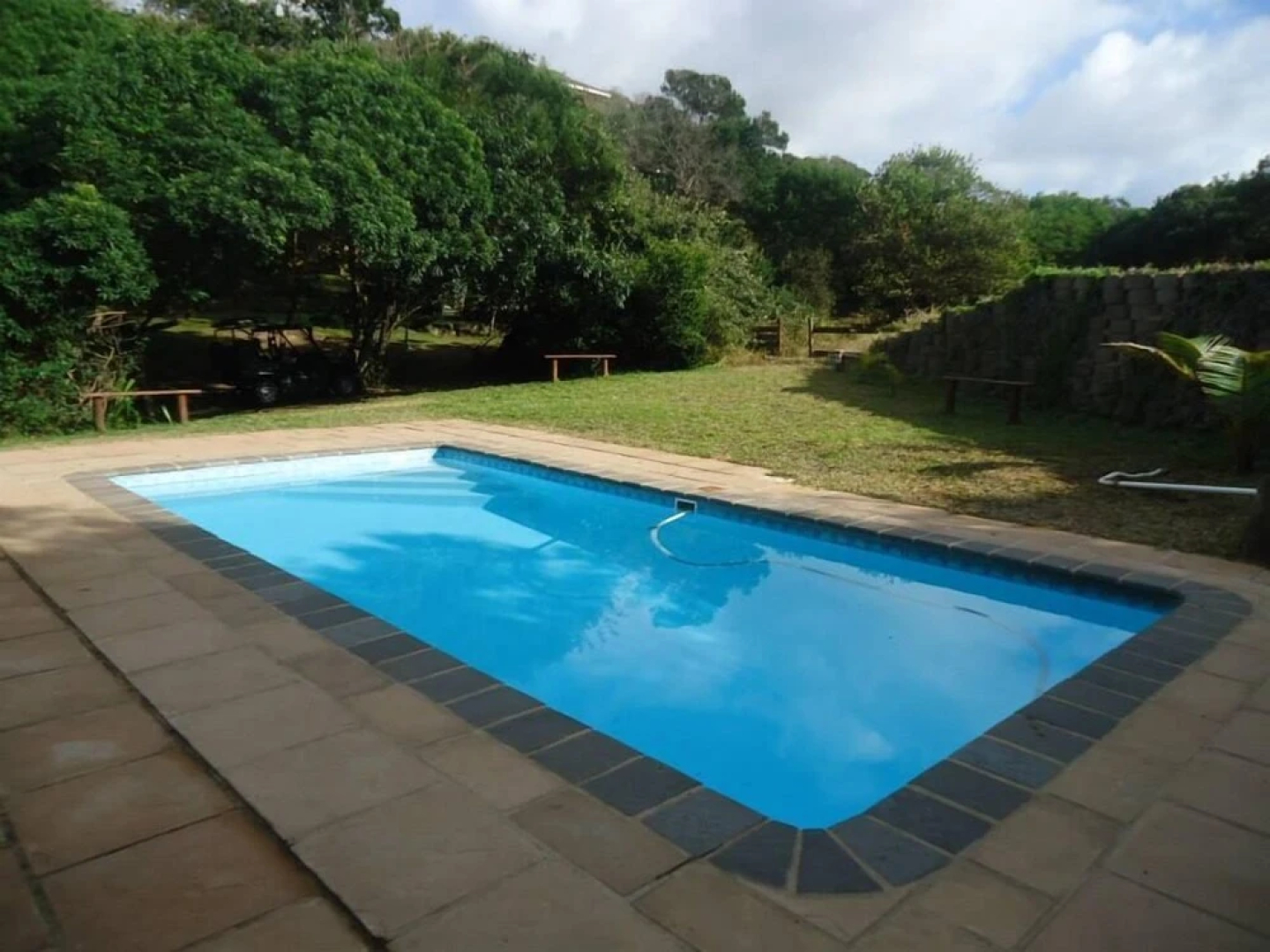 Alfies House