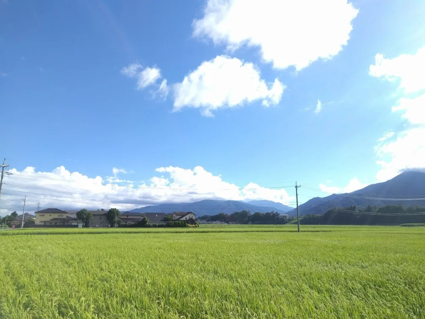 Tomo's hut in Japanese old style