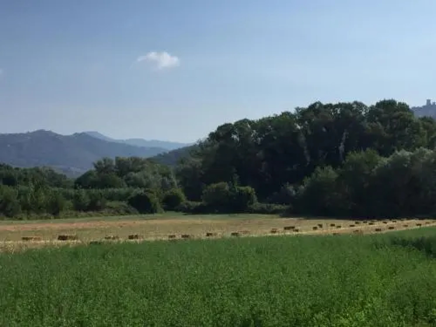 B&B La Nonnina del Cilento