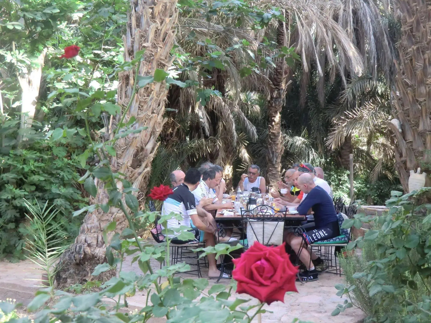 Gîte Dans la Palmeraie