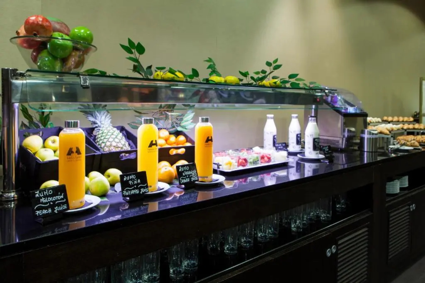 Hotel Diagonal Plaza