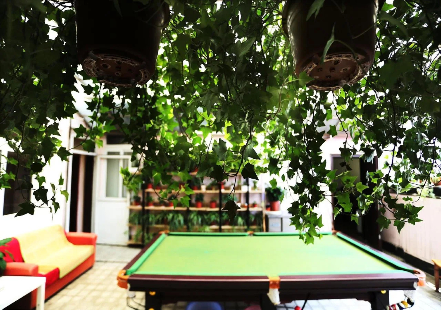 Nanjing Sunflower Youth Hostel