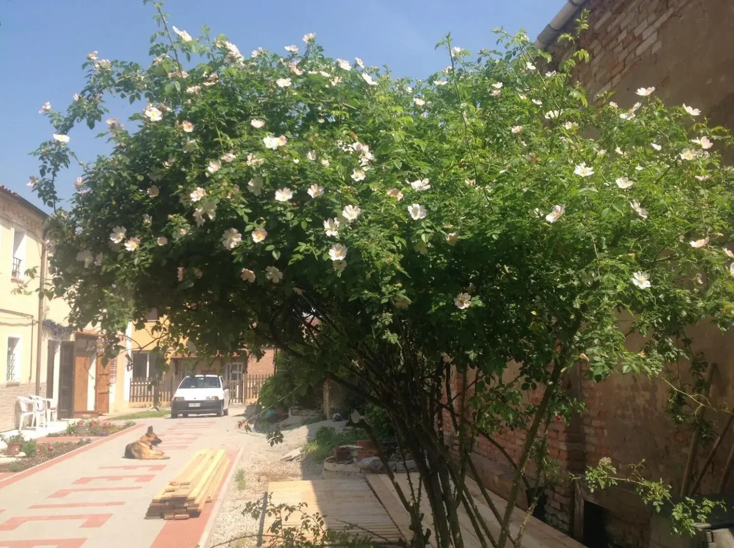 B&B Ciliegio Felice