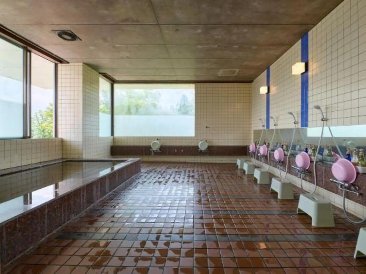 Fuji Yamanakako Resort Hotel