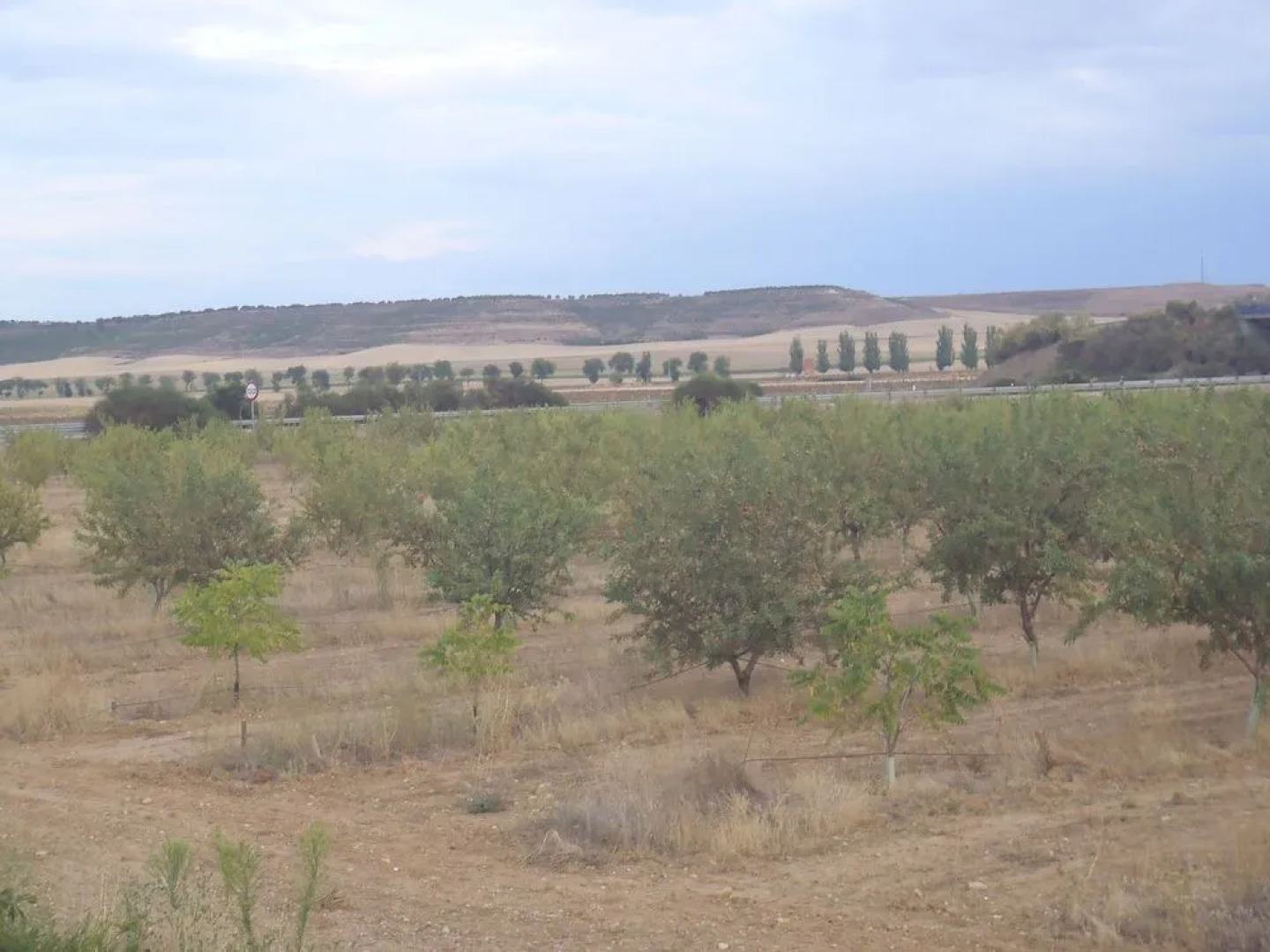 La Huella Verde