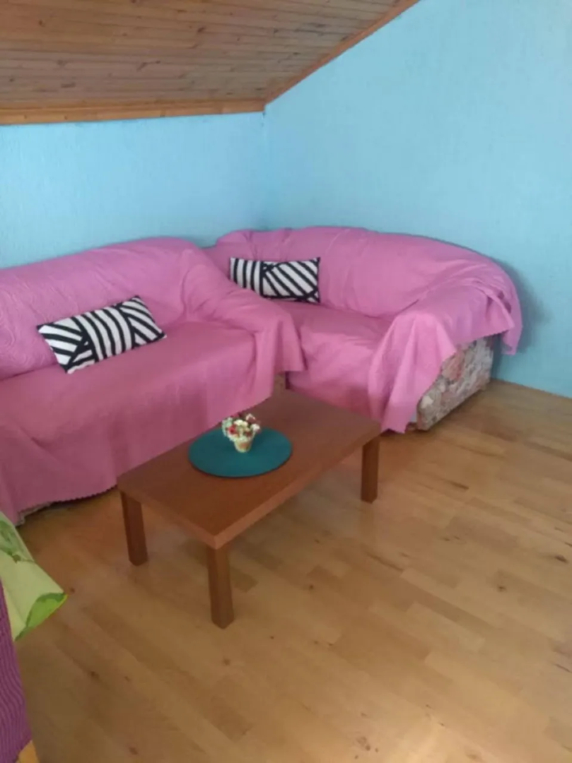 Apartment Tomi - with a large terrace (30m2): A1 Tribunj, Riviera Sibenik
