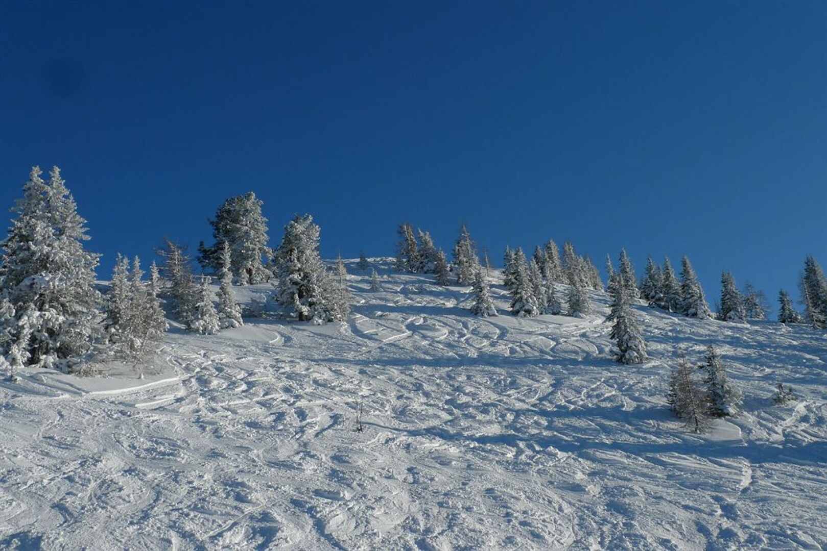 Hotel Zauchensee Zentral