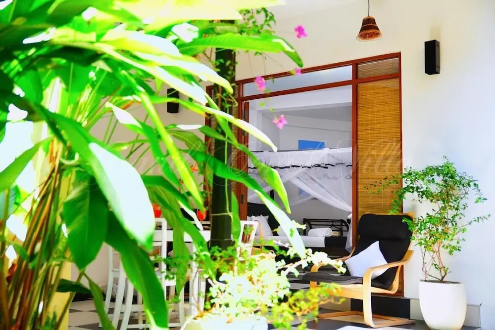 Grand Conch Villa