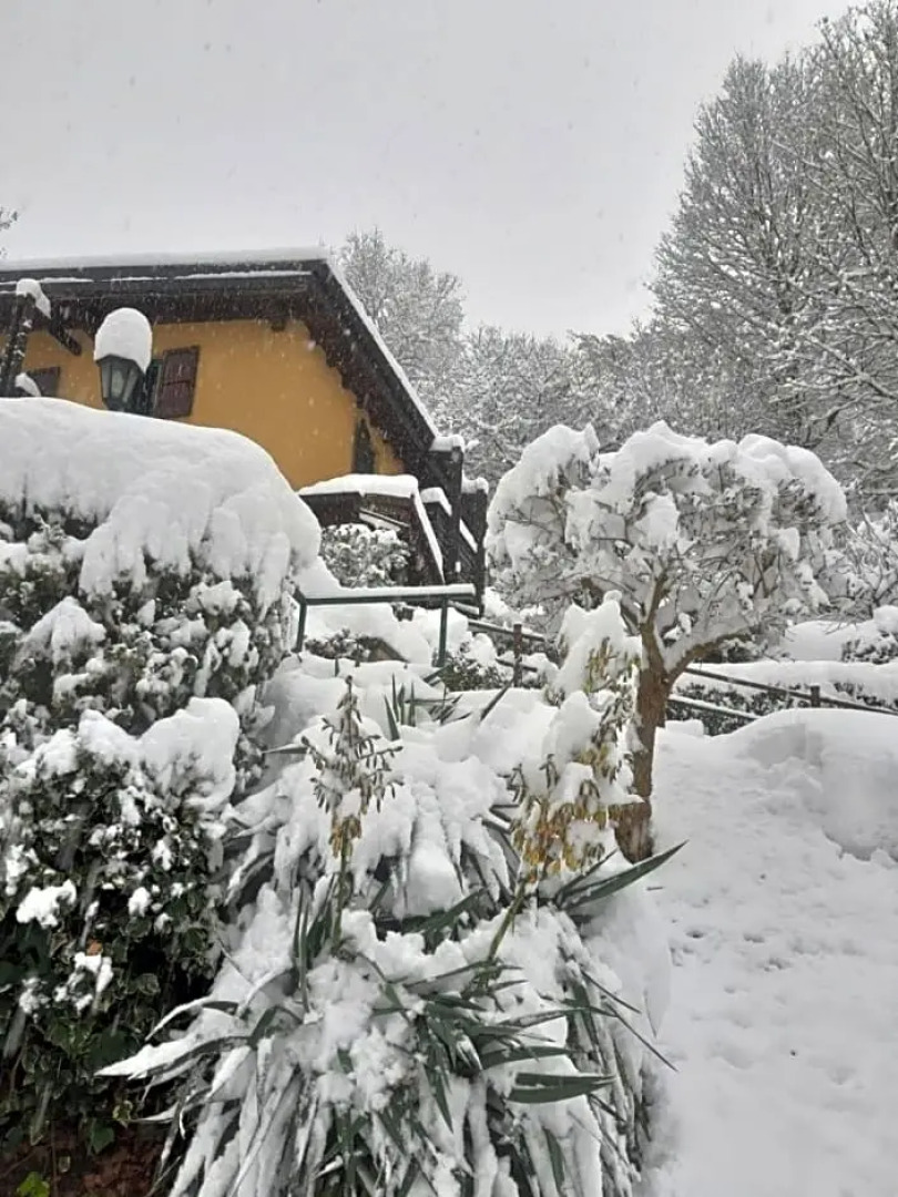 Casa Amici Del Bosco