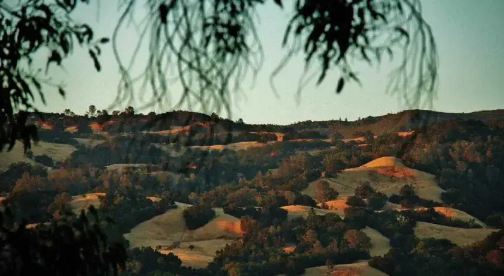 Royal Nesu Retreat House