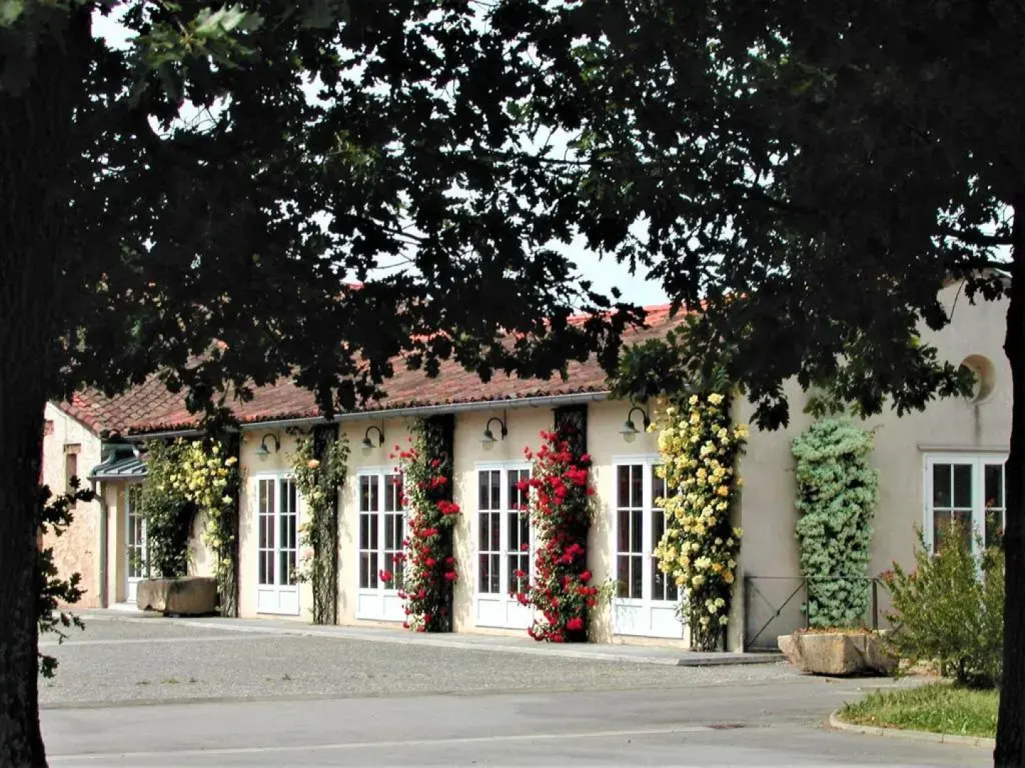 Le Canard Sur Le Toit