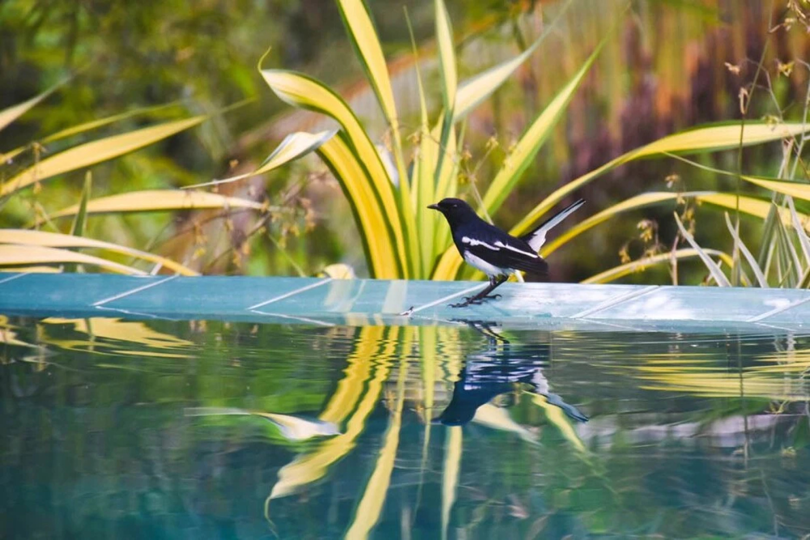 The Villa Tranquilla