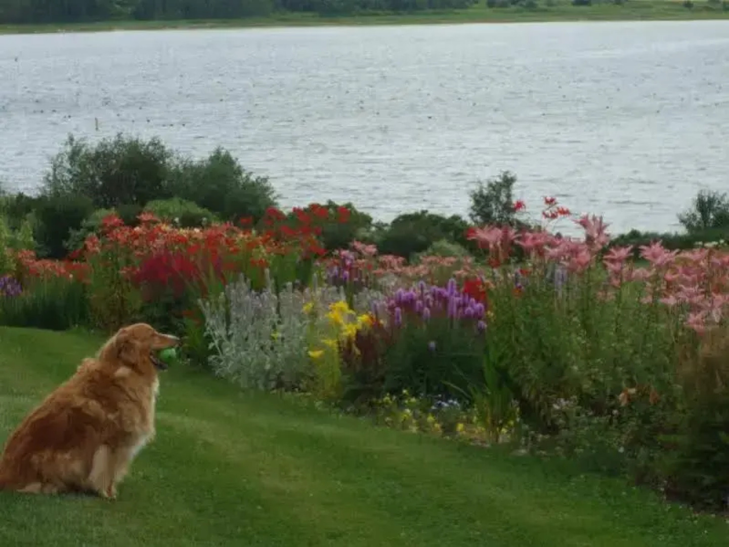 The Inn at St. Peters