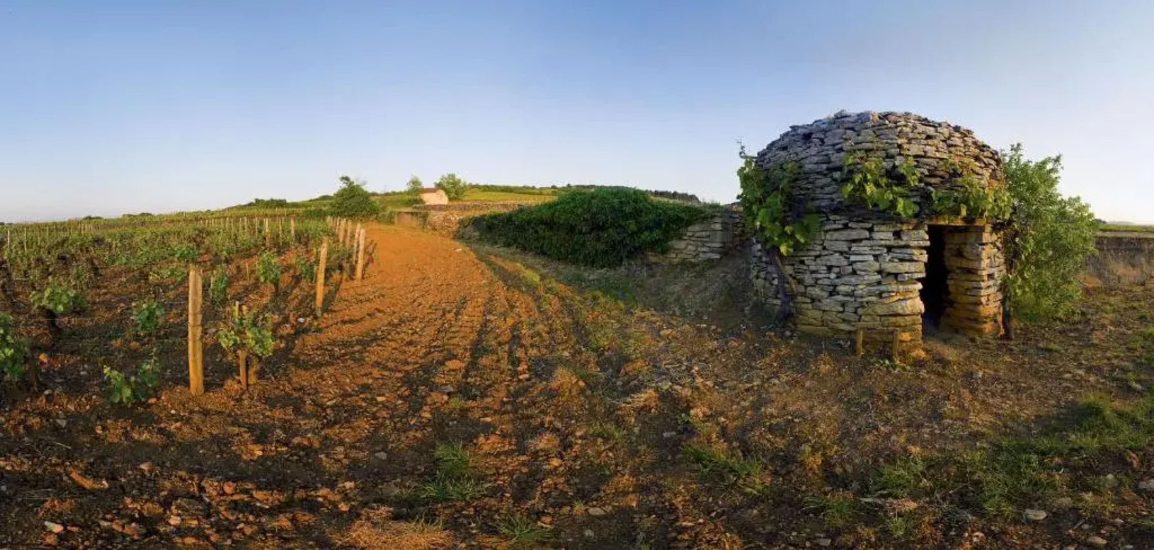 Appart' Spa et Sauna Privatif Au Cœur De Beaune