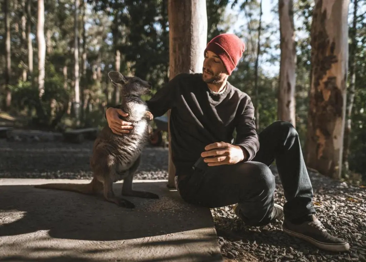 Carawirry Forest Escape