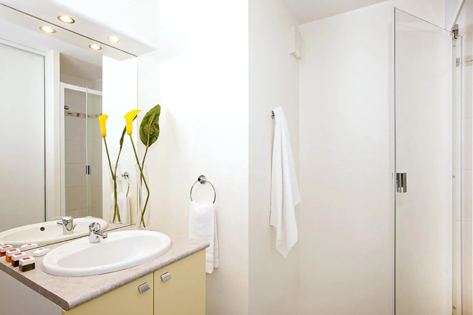 Séjours & Affaires Rennes Villa Camilla