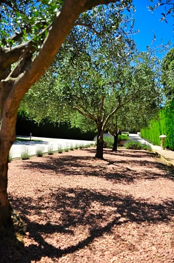 Le Jardin des Amandiers