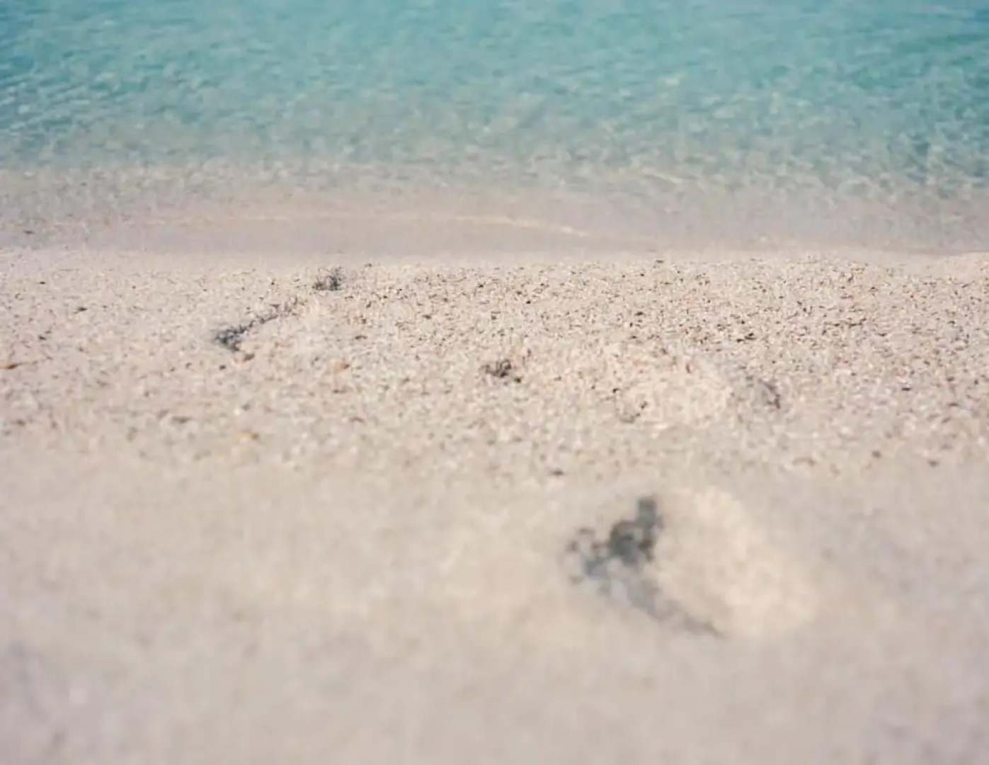 La Meta Alghero Rugby