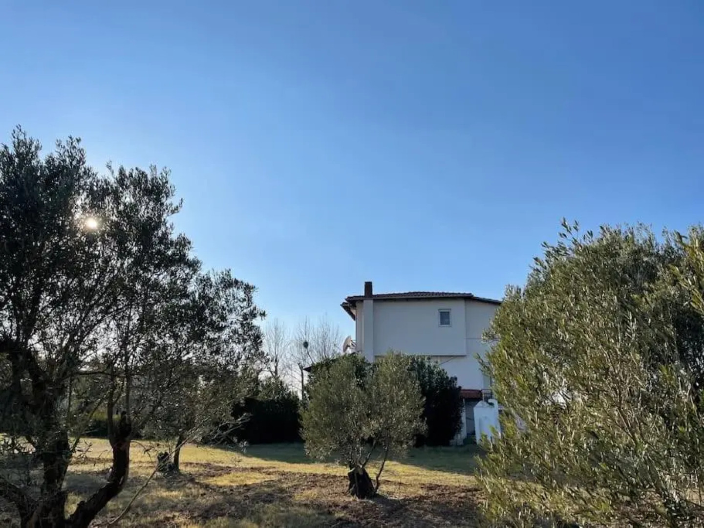 Susann by the Sea Chalkidiki