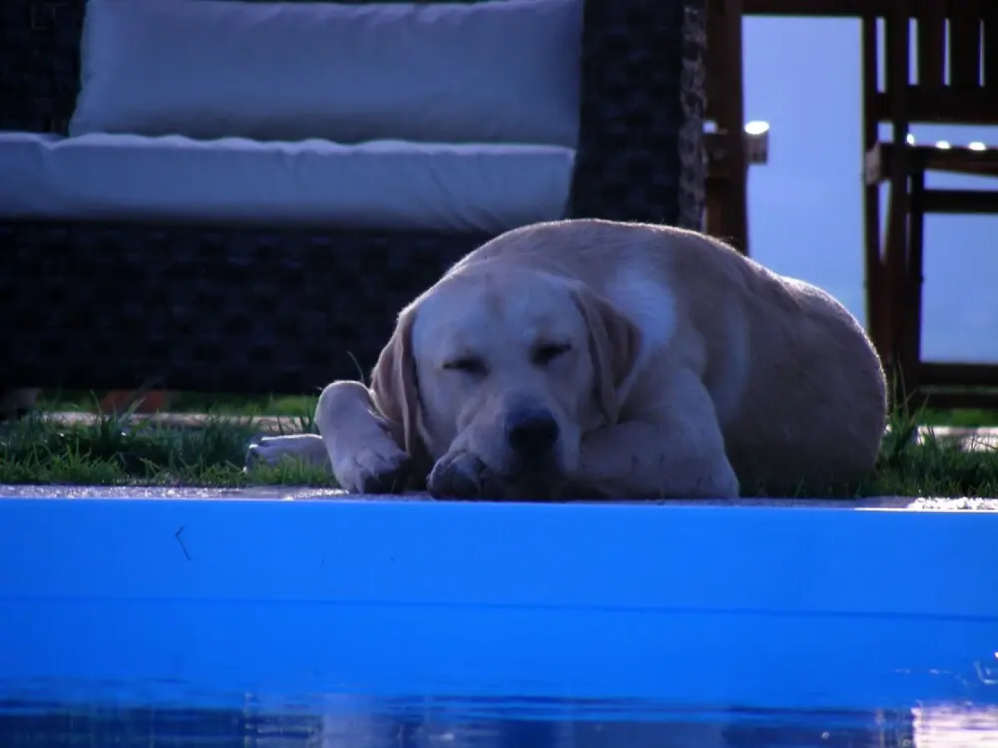 Villa Podere Quartarola