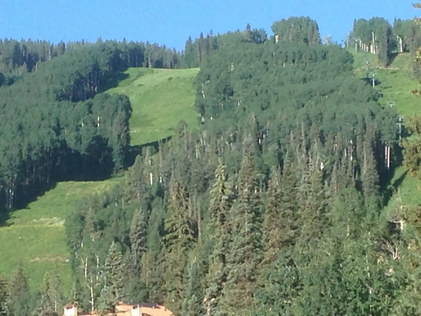 Twilight View Condos