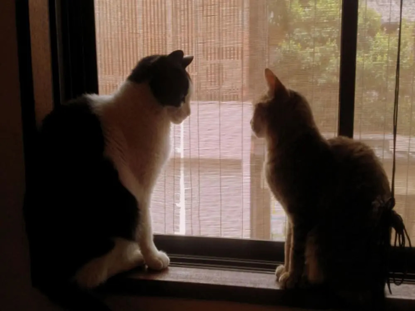 Kyoto Gion KIRAKU-INN - Hostel