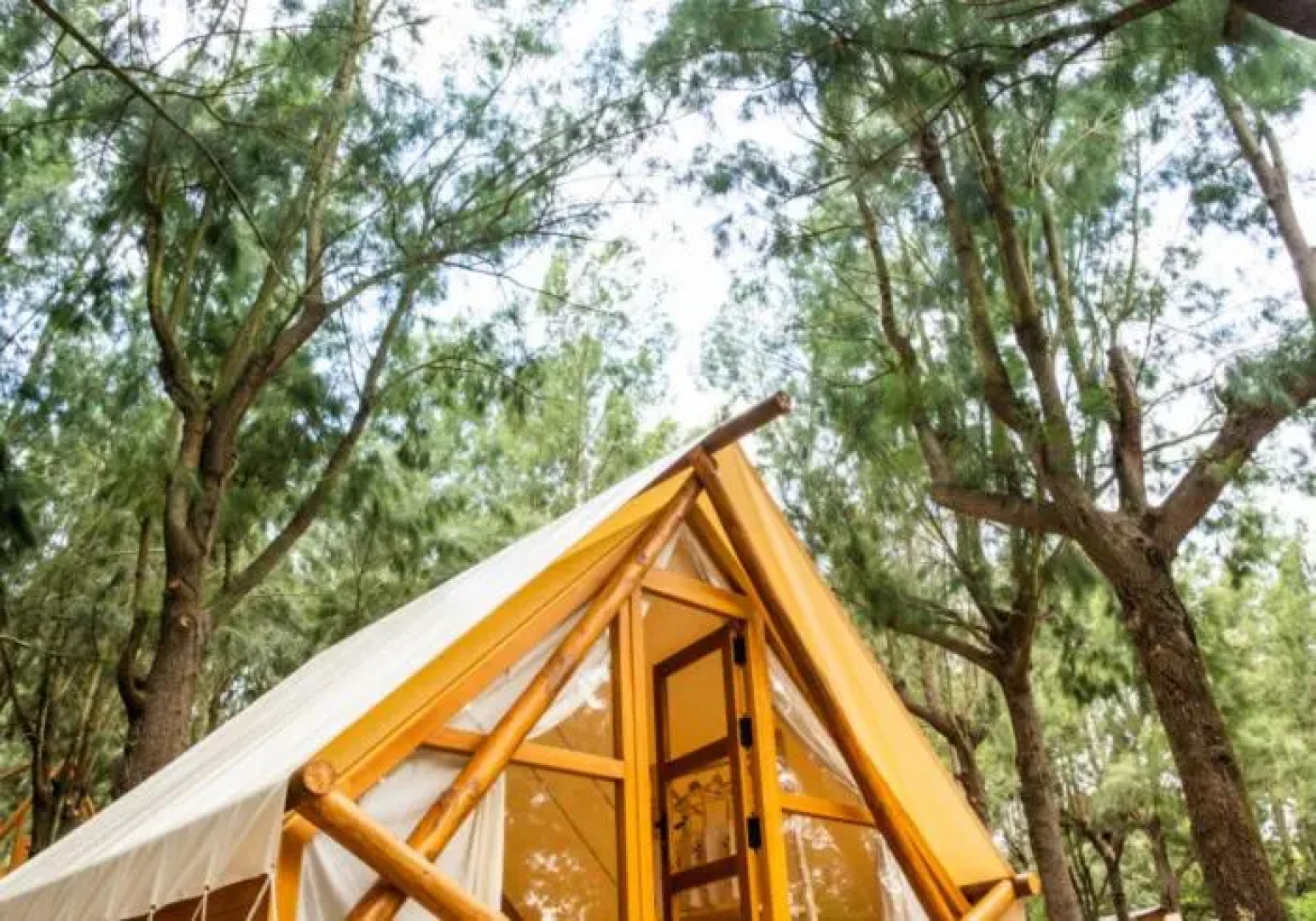 TEACAMPA Tarifa Punta Paloma