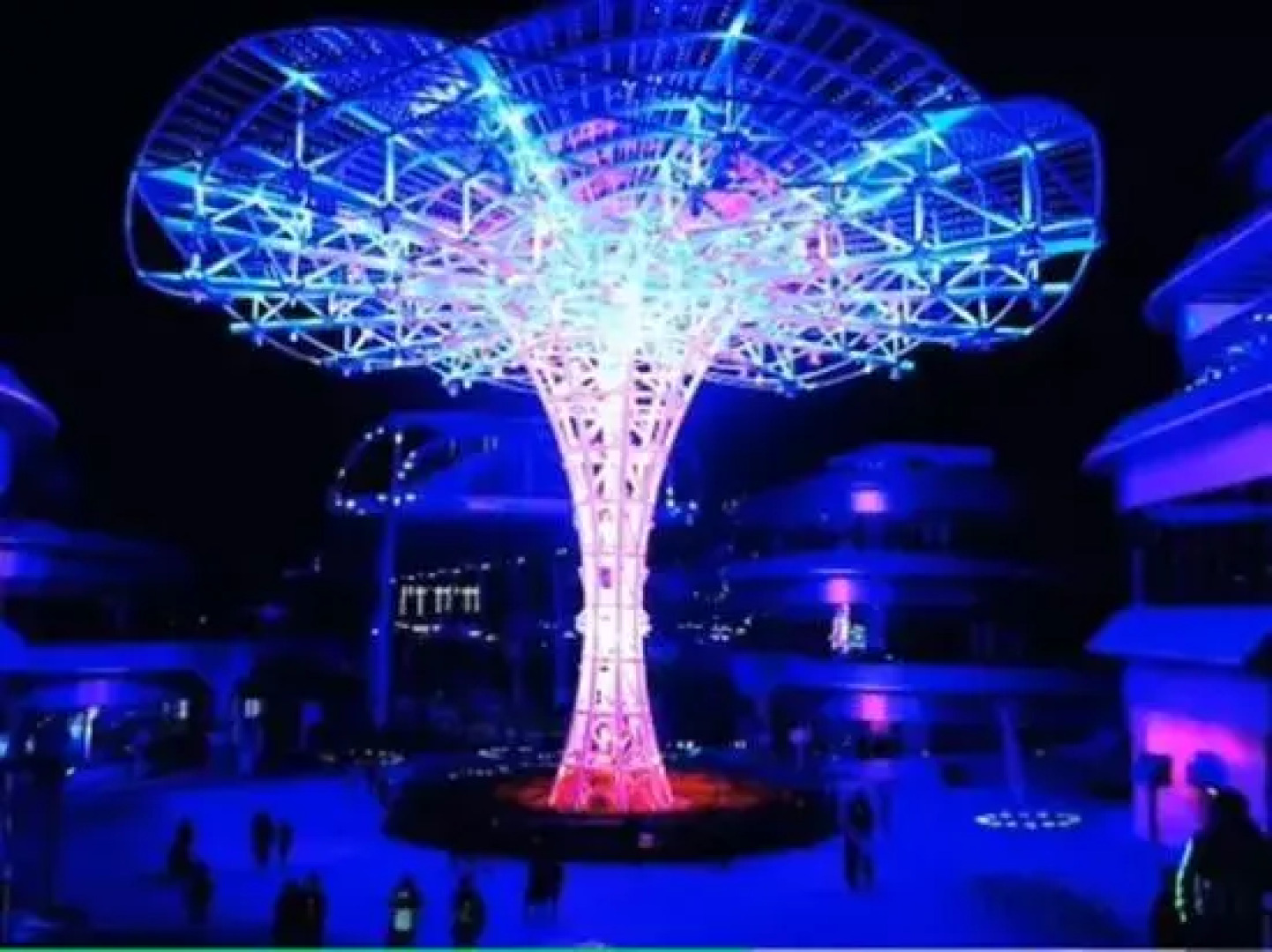 Tianyan Longhua Family b&B